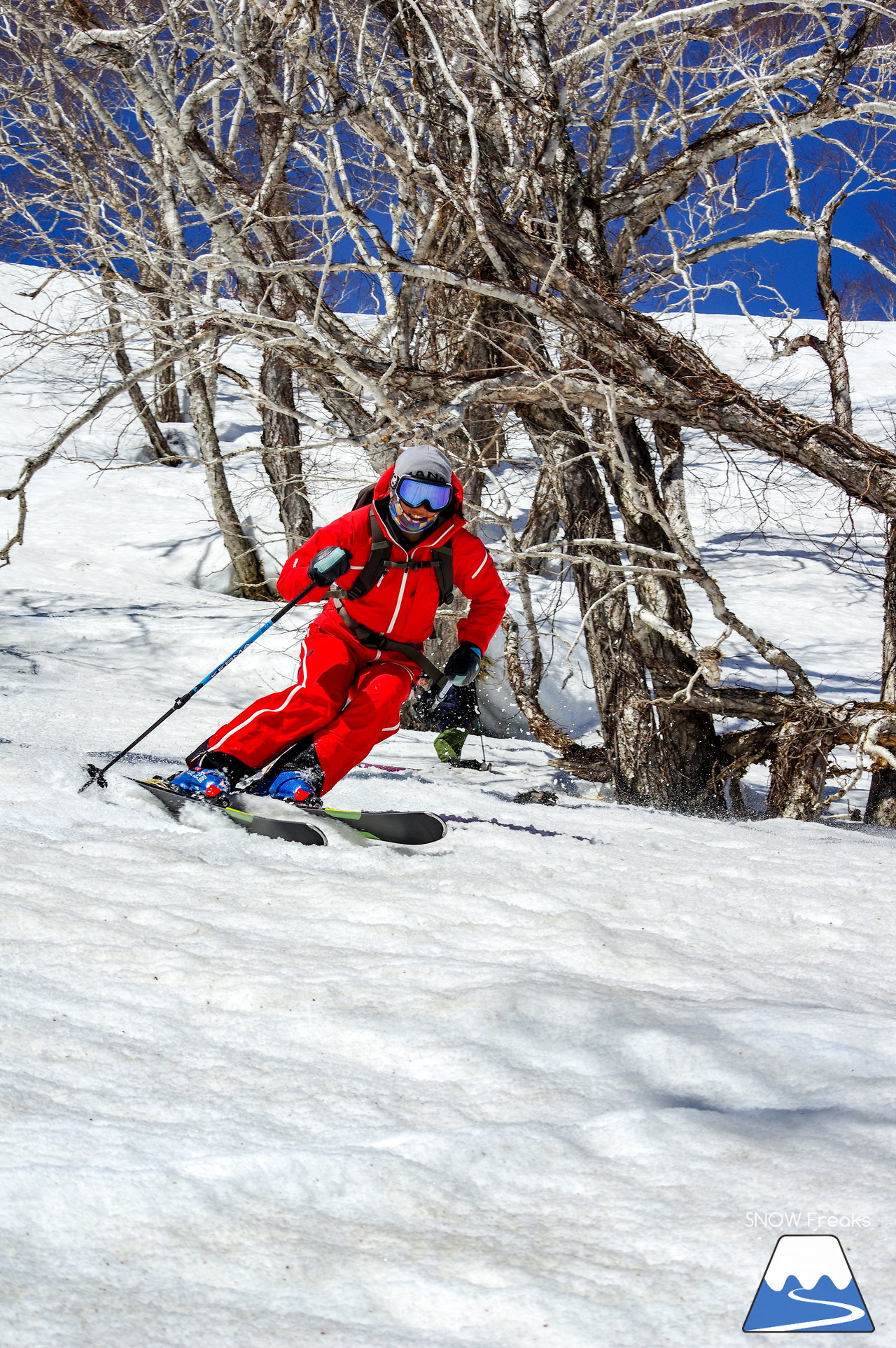 ニセコグラン・ヒラフ DYNASTAR SKI TEST RIDE DAYS Photo Session!!最高の天気に恵まれたニセコに、最高の仲間たちが集まりました☆